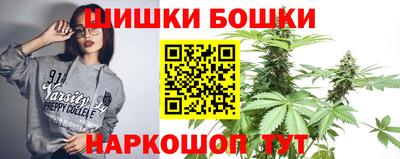 индика Владивосток