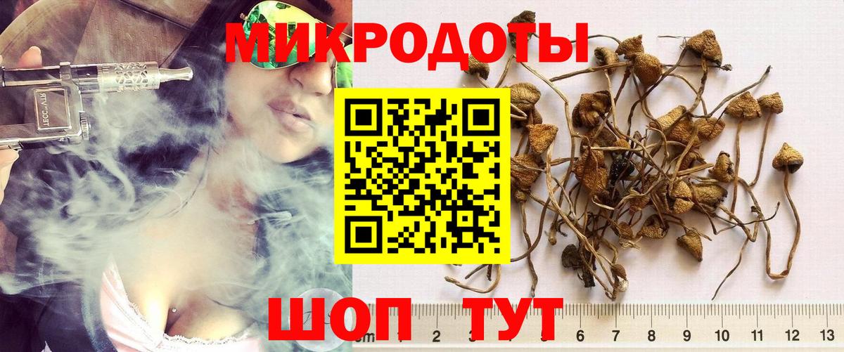 Новотроицк  Псилоцибиновые грибы Psilocybe  Вход с VPN  Галлюциногенные грибы Psilocybe 